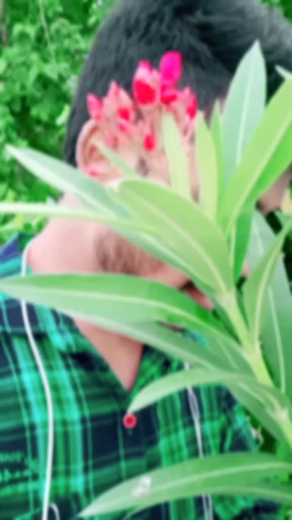 @๐๐๐๐ค๐๐๐๐๐๐จ