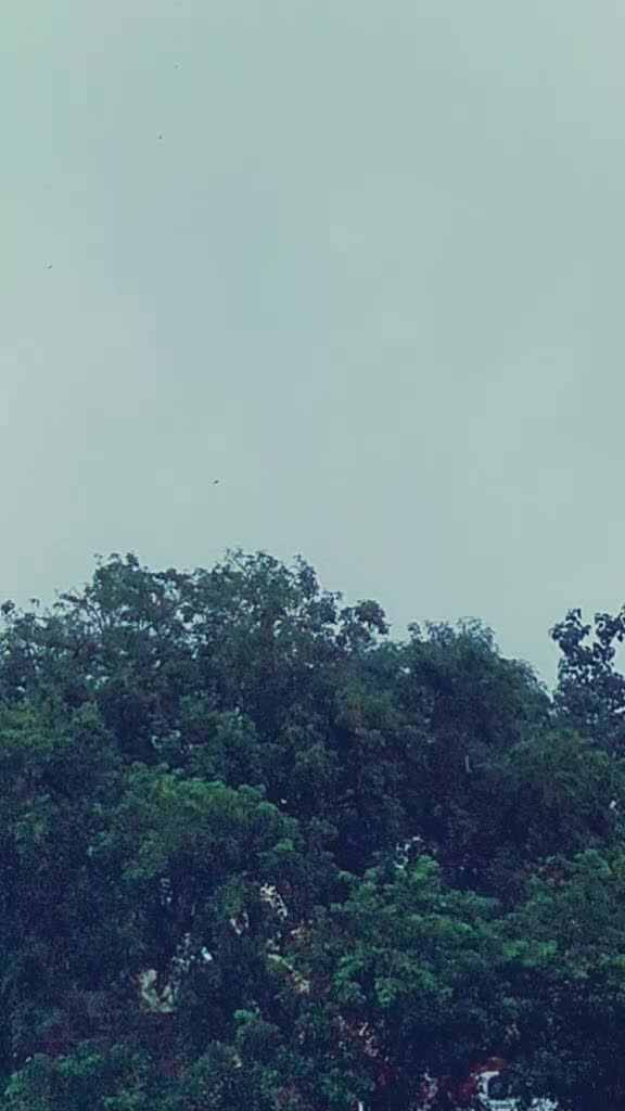 @Tulsi Lanjewar