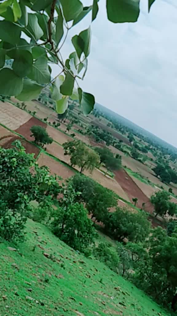 @kajal borade