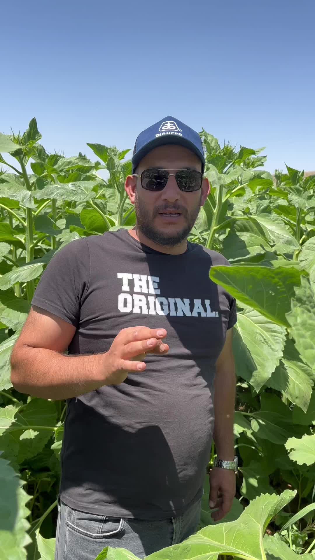 @AGROŞİMŞEK TARIM &Uuml;R&Uuml;NLERİ