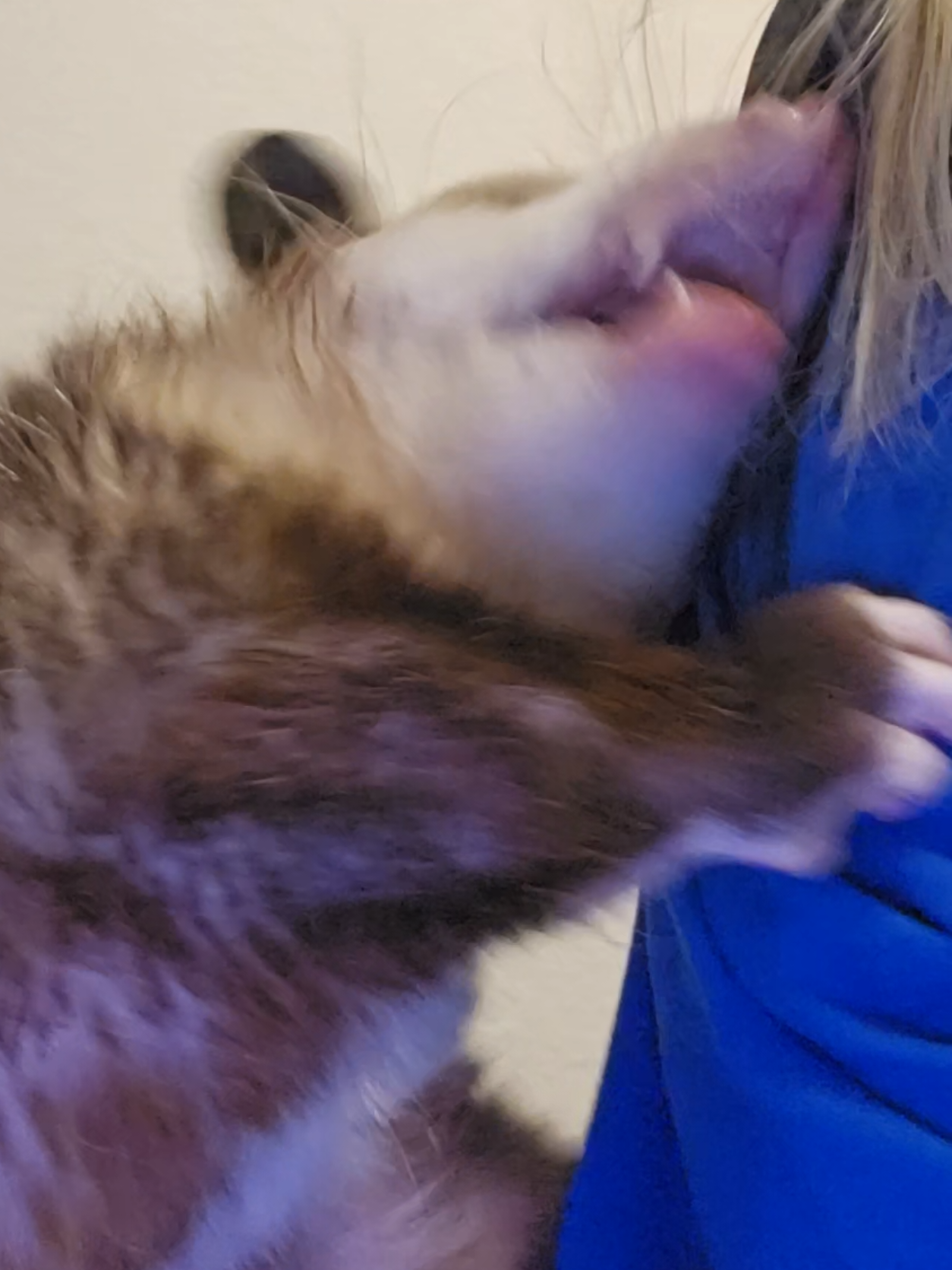@OPOSSUMDAWGMOM