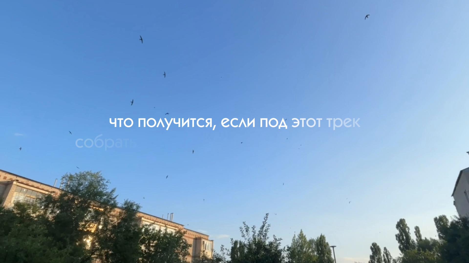 @🥝Kivi🥝