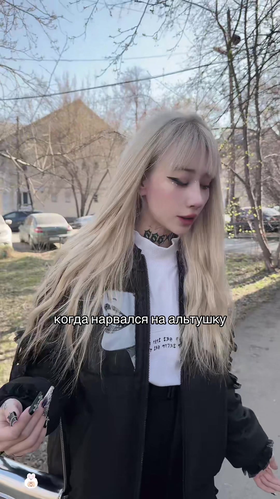 @Tramadoll