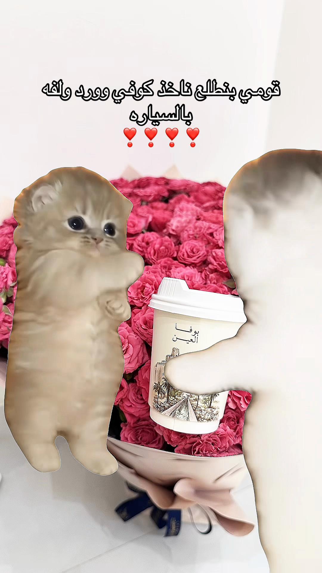 @✵