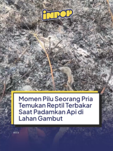 @inpopmedia