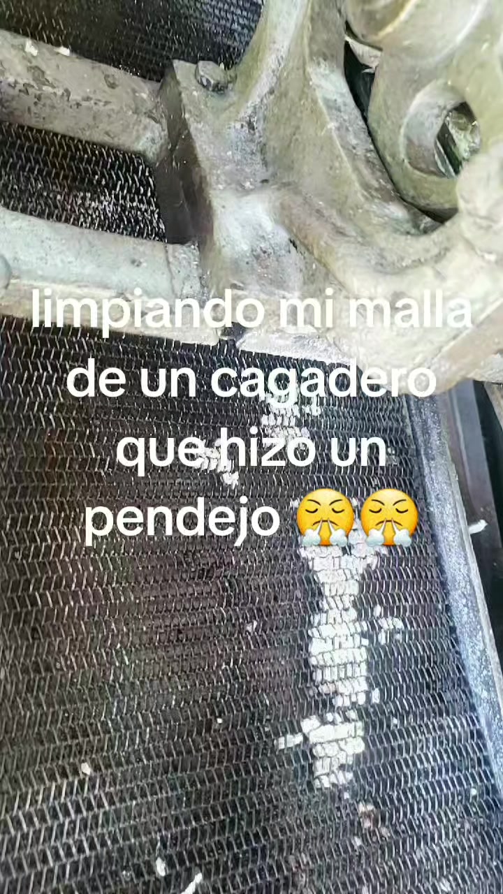 @Alexia