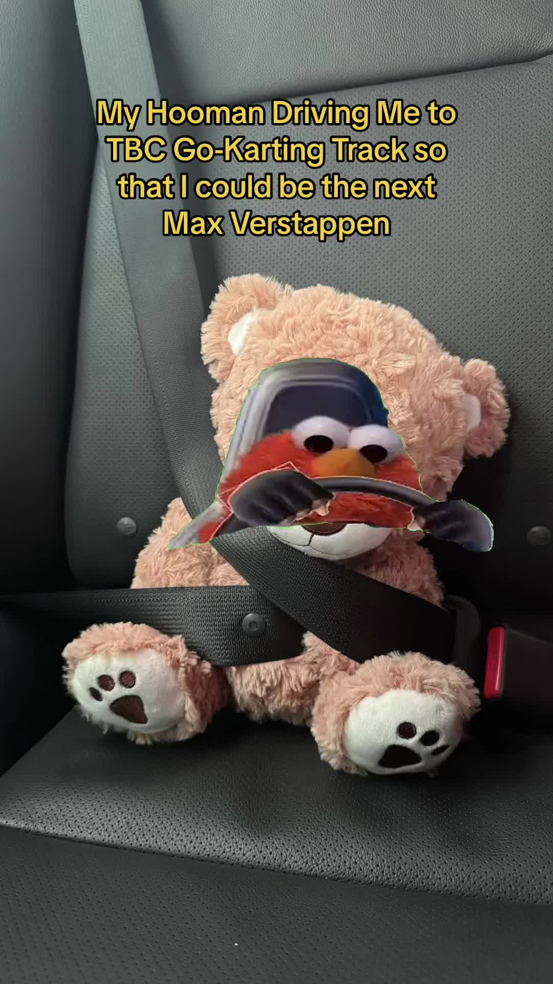 @🧸 Pookie Wookie Woo Bear 🧸