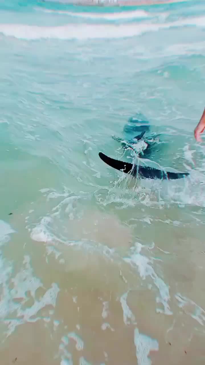 @المتمرد