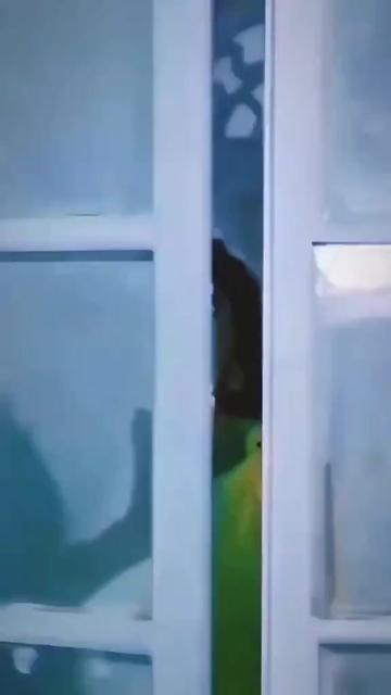 @𝘽𝙝𝙤𝙢𝙞𝙠𝙖 𝙏𝙞𝙬𝙖𝙧𝙞
