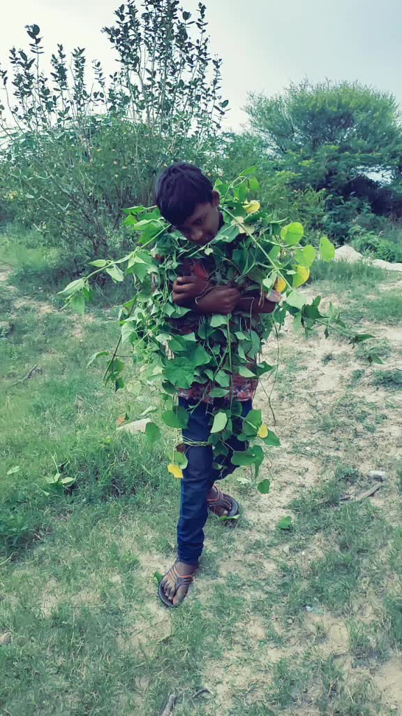 @Tanveer Tanveer