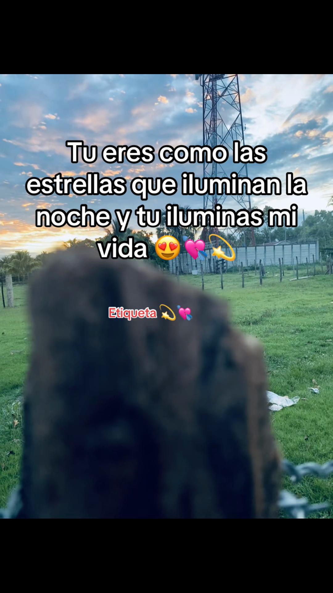 @Contenido🎯