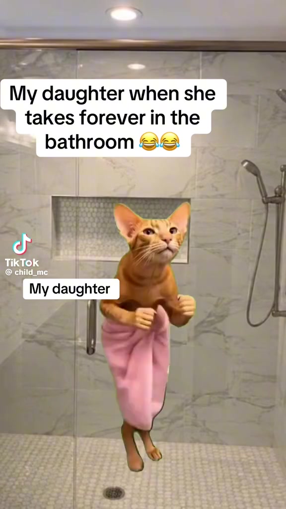 @pritilal06