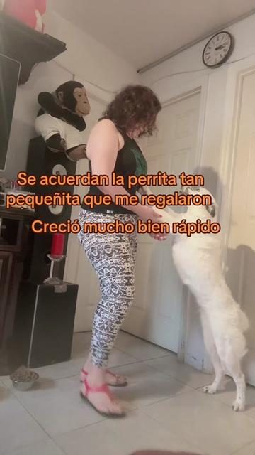 @lemu859