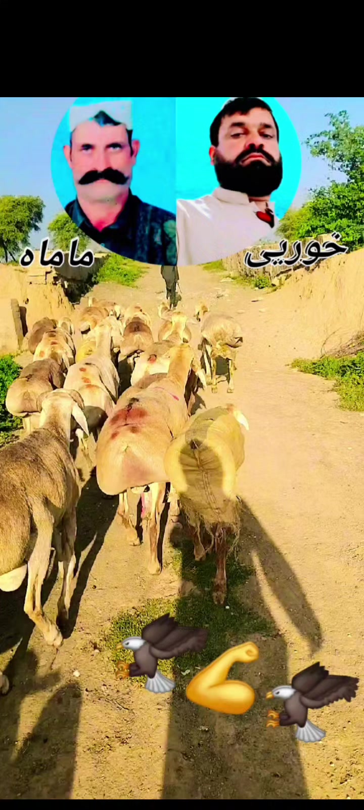 @azad khan