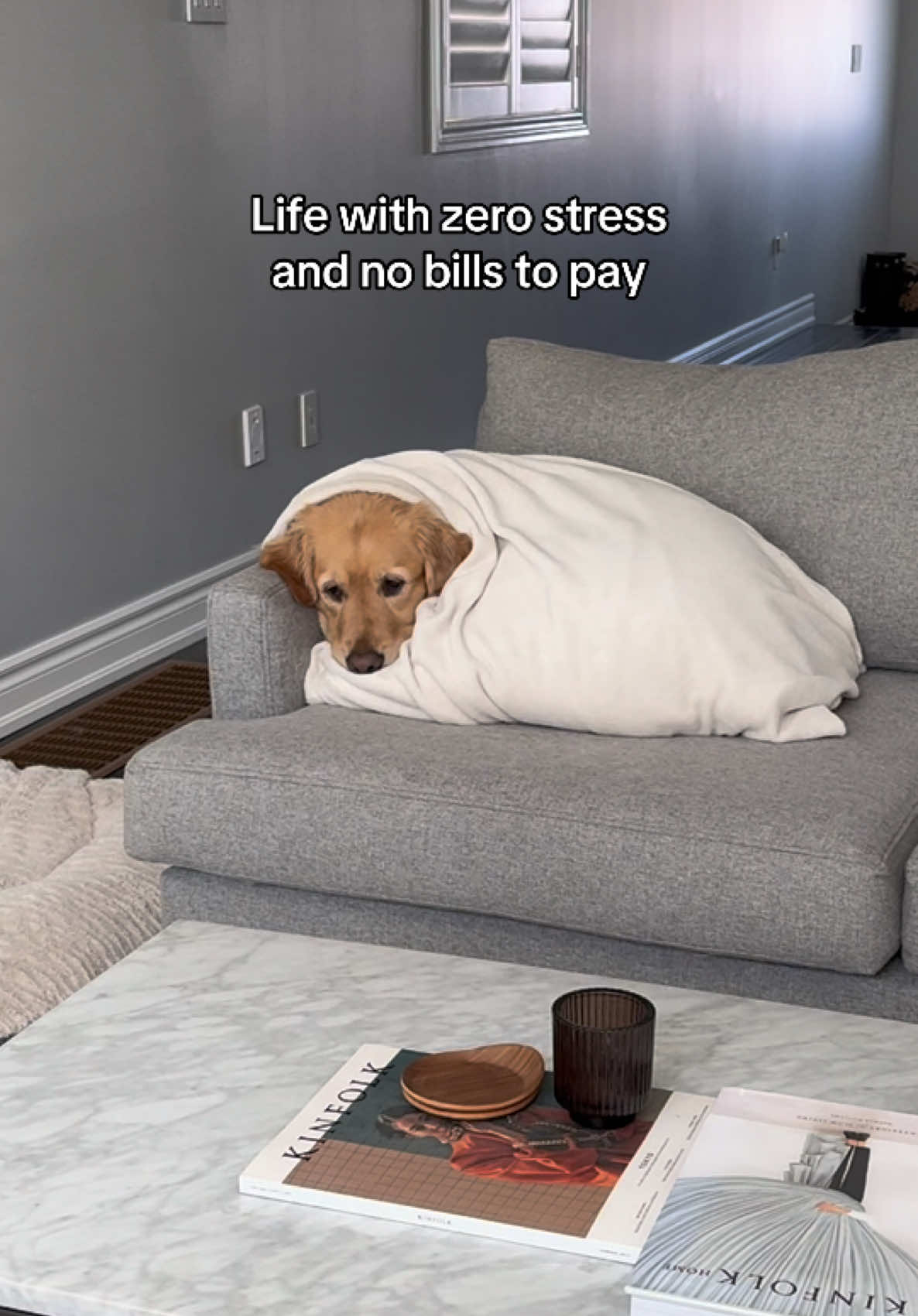 @Daisy & Maple the Goldens