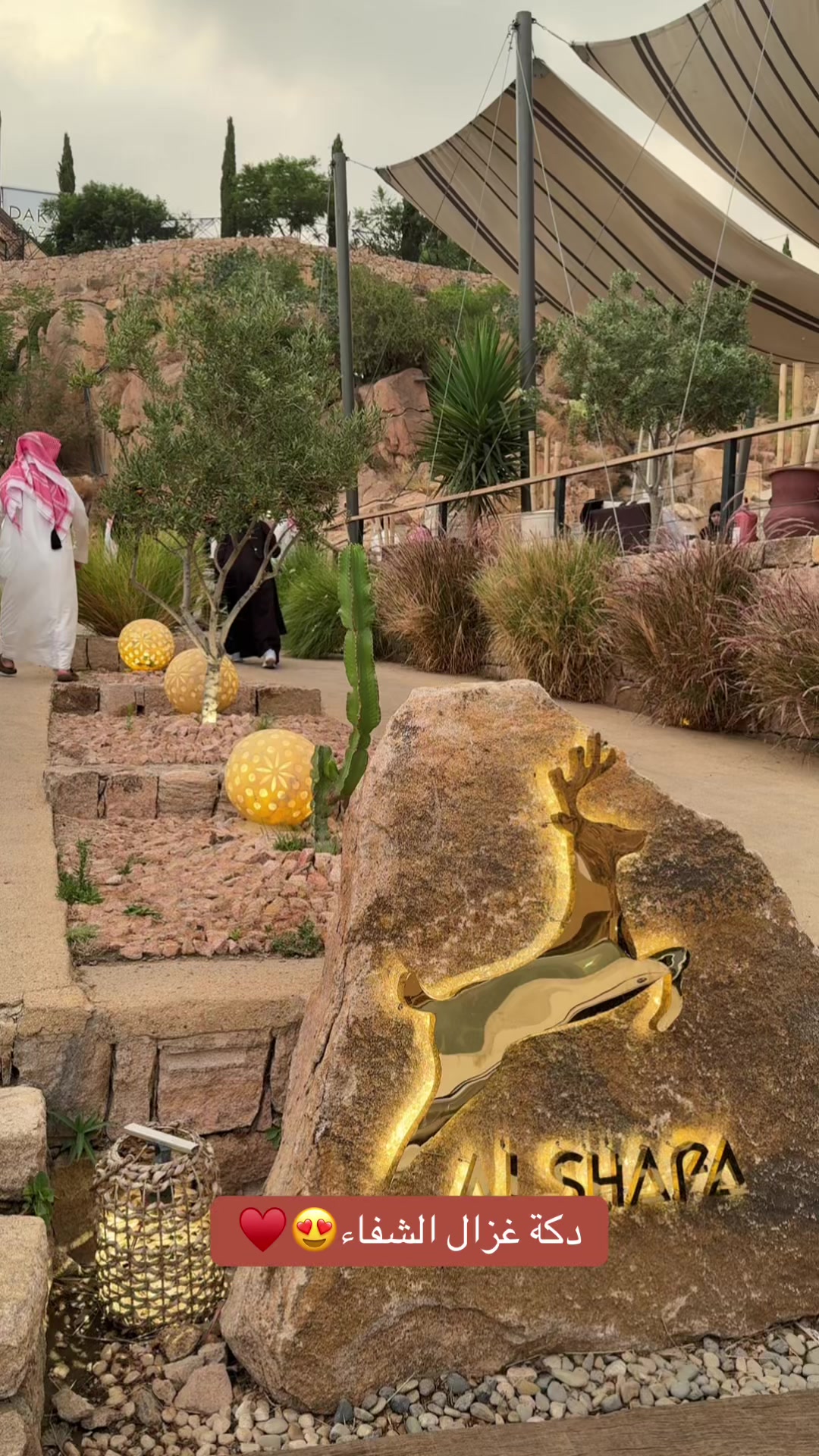 @الإعلامية ترند الطائف للتغطيات