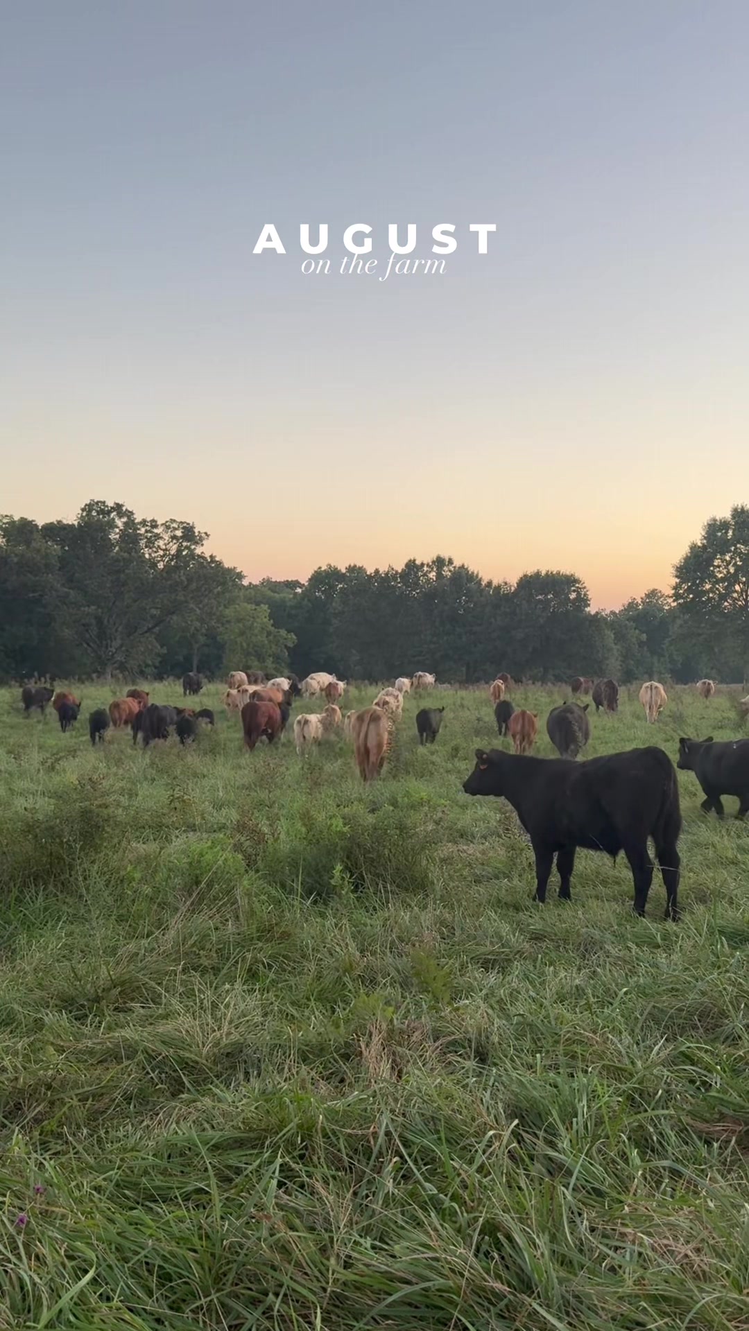 @kl2farms