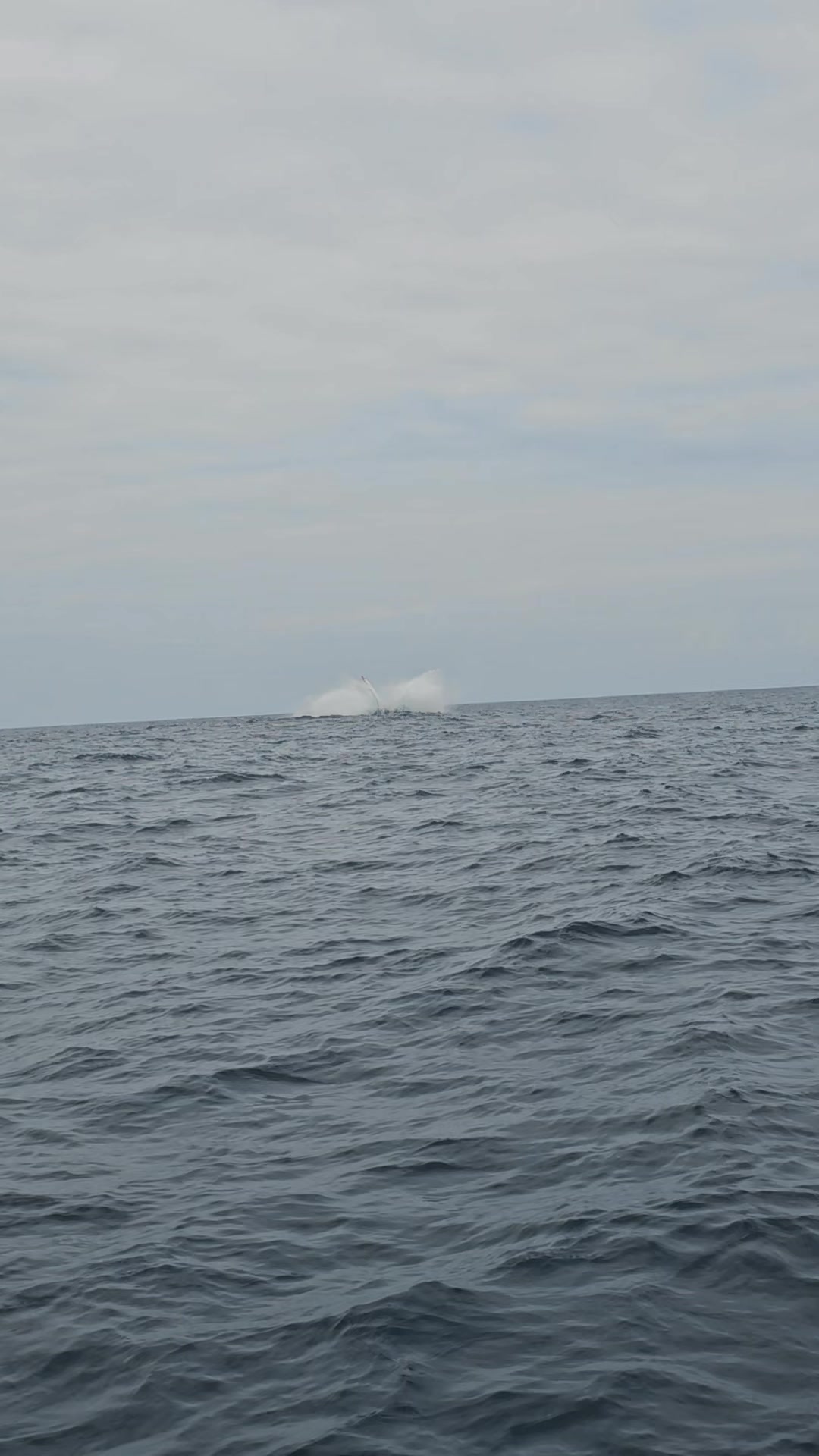 @Chasse Sous-Marine Bénin