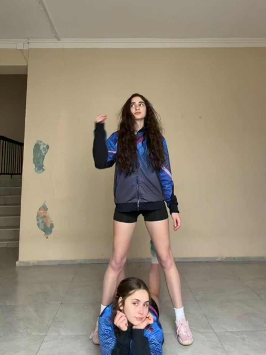 @🦈