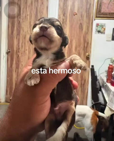 @Valentina Cota