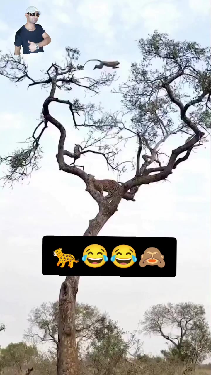@رشيد ريكو 🇲🇦 🇸🇦