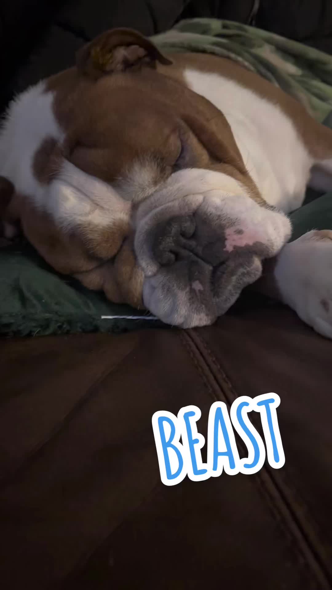 @Beast