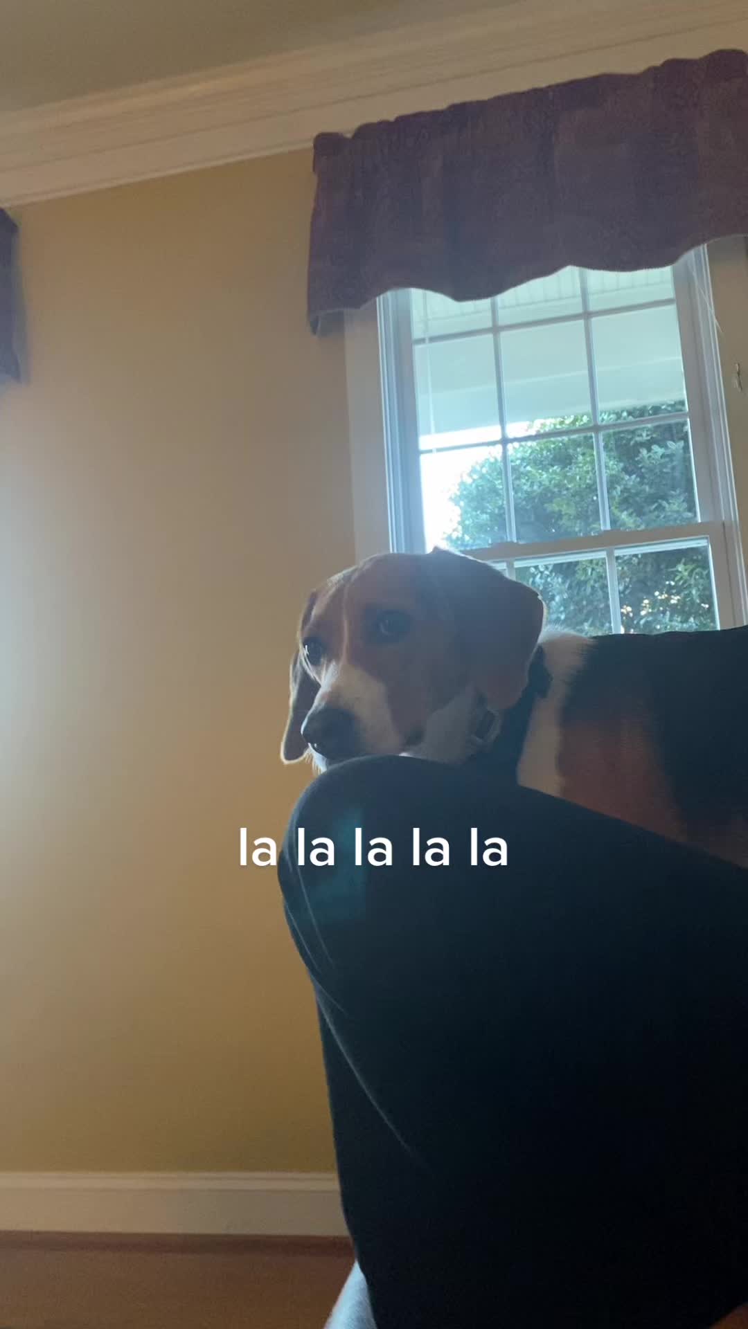@emma