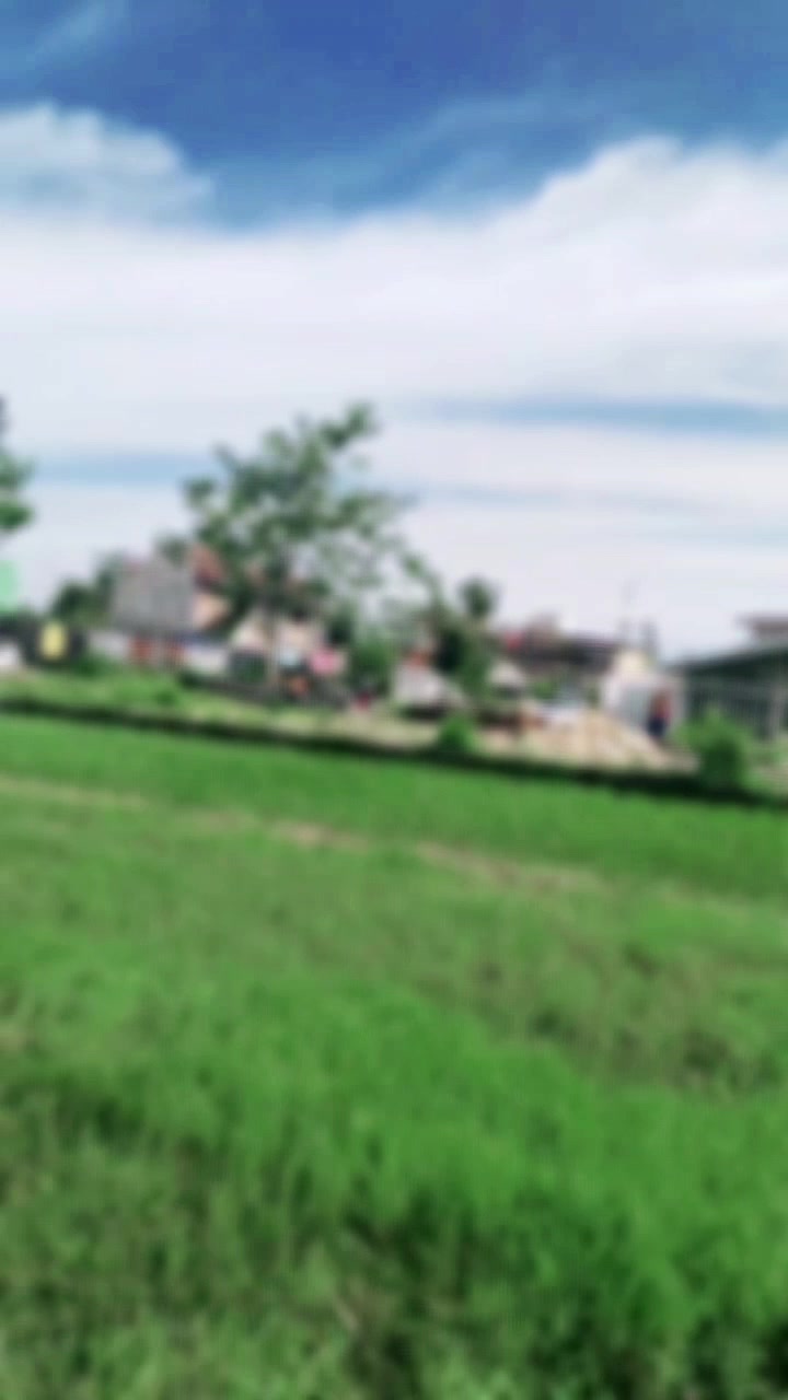 @Taichan Langgeng
