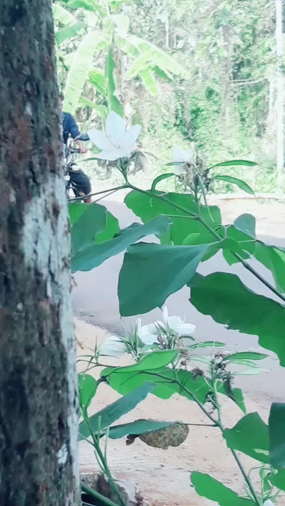 @Vijesh Kumar