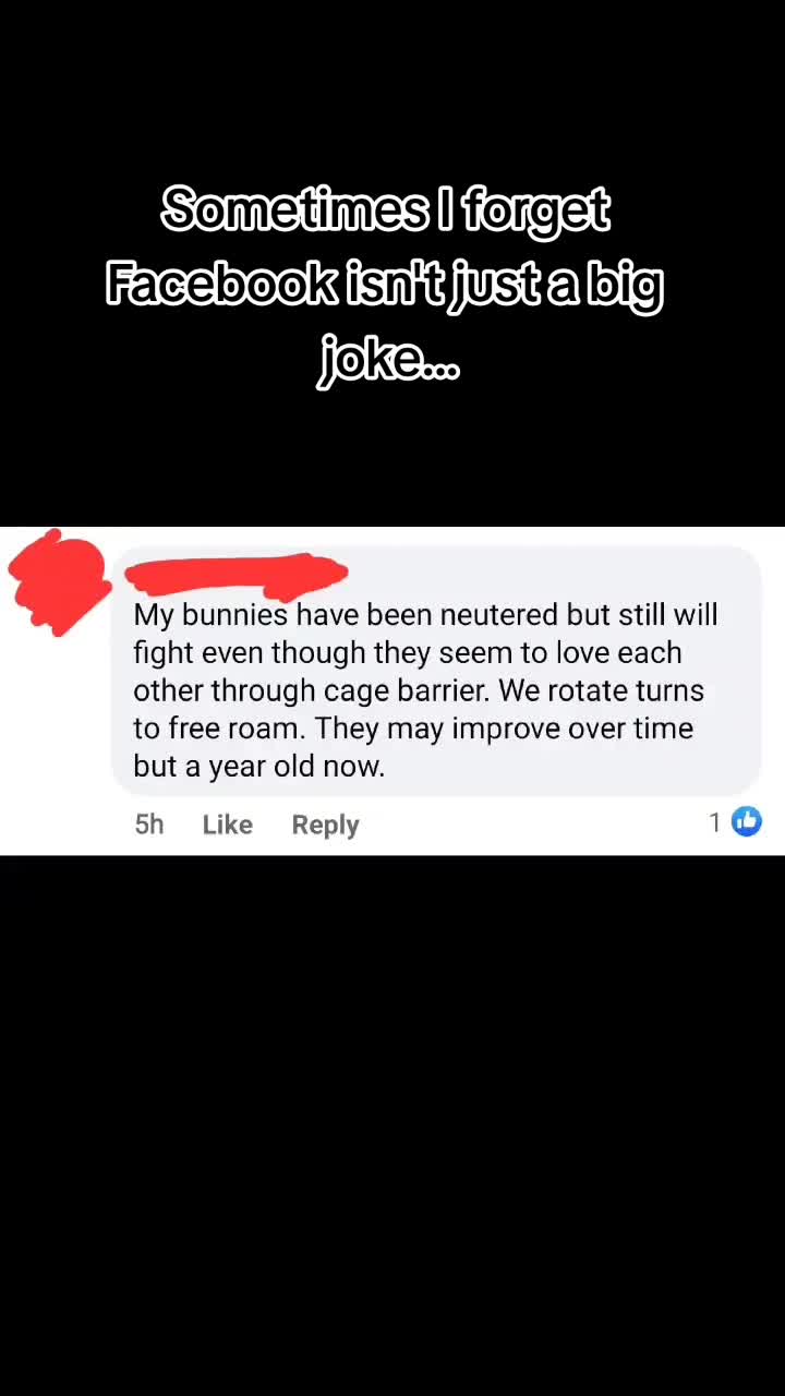 @ToT's Bunny Barn