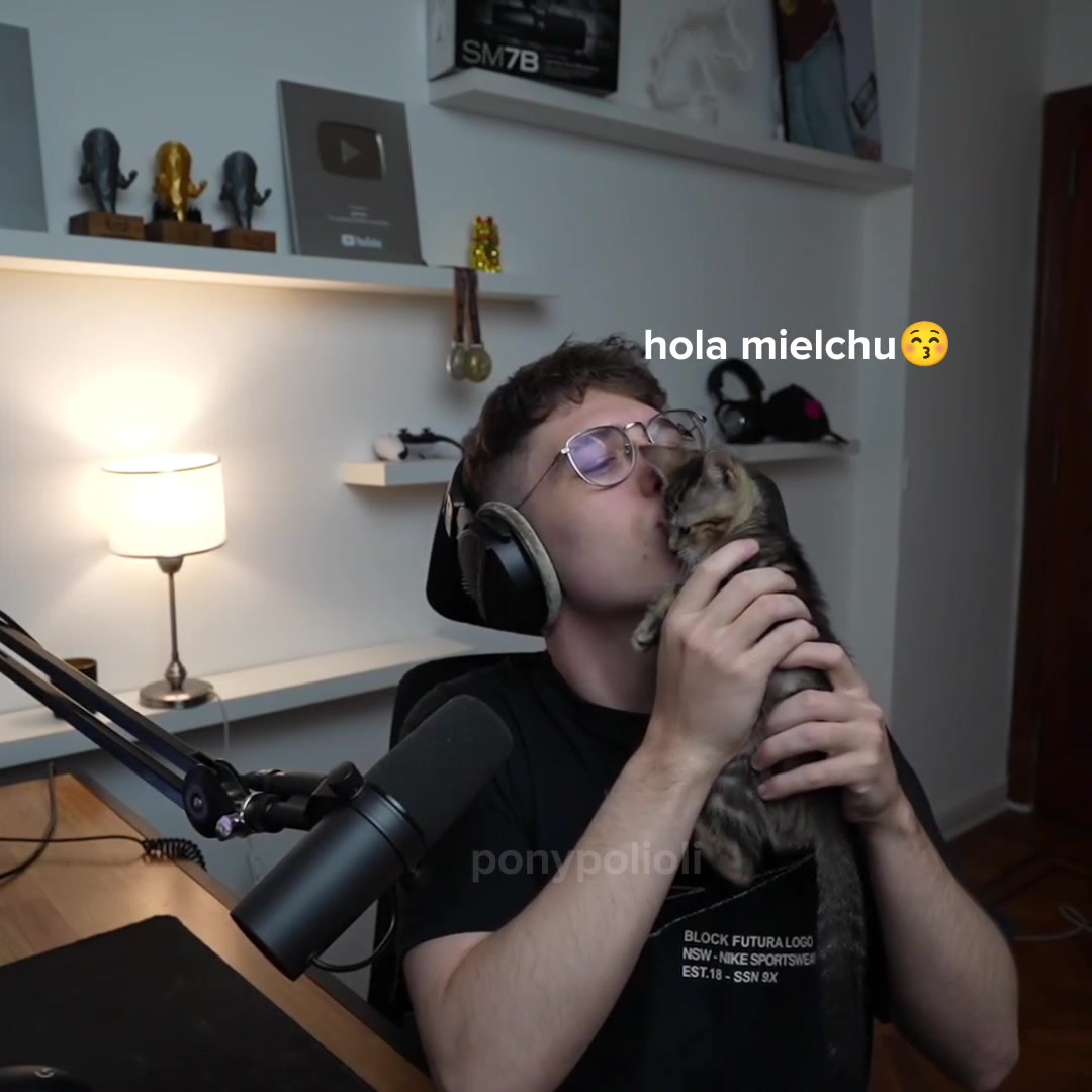@ponyta