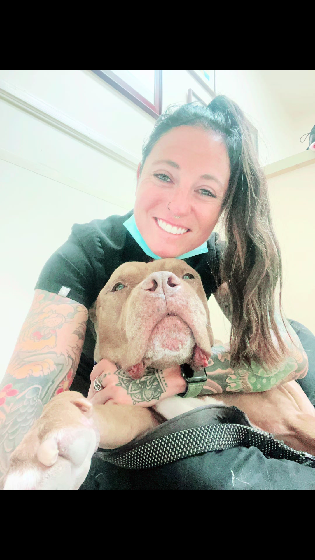 @Elite Pet Dental