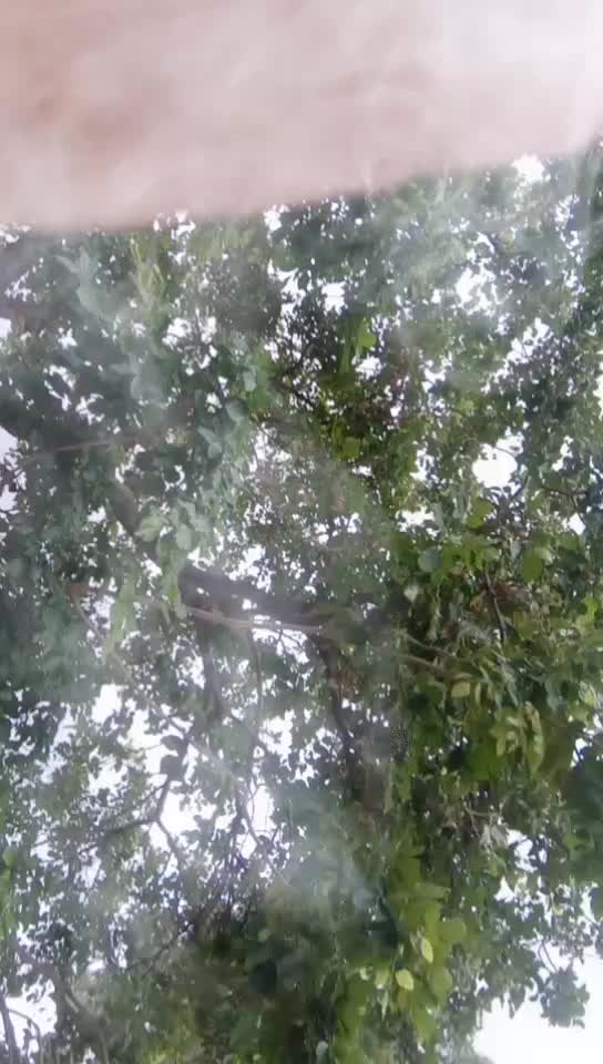 @user2096675119008