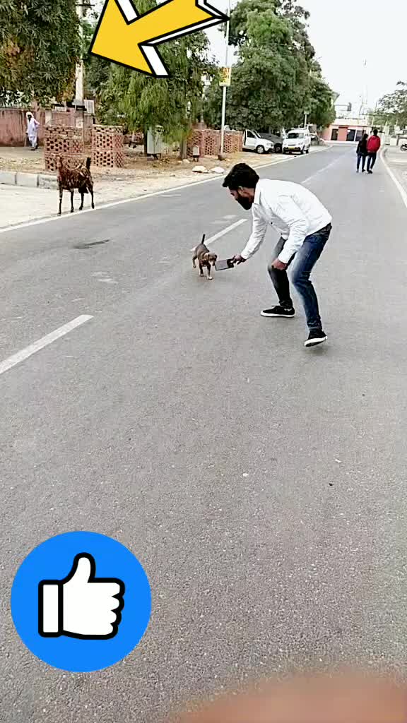@kushe samariya