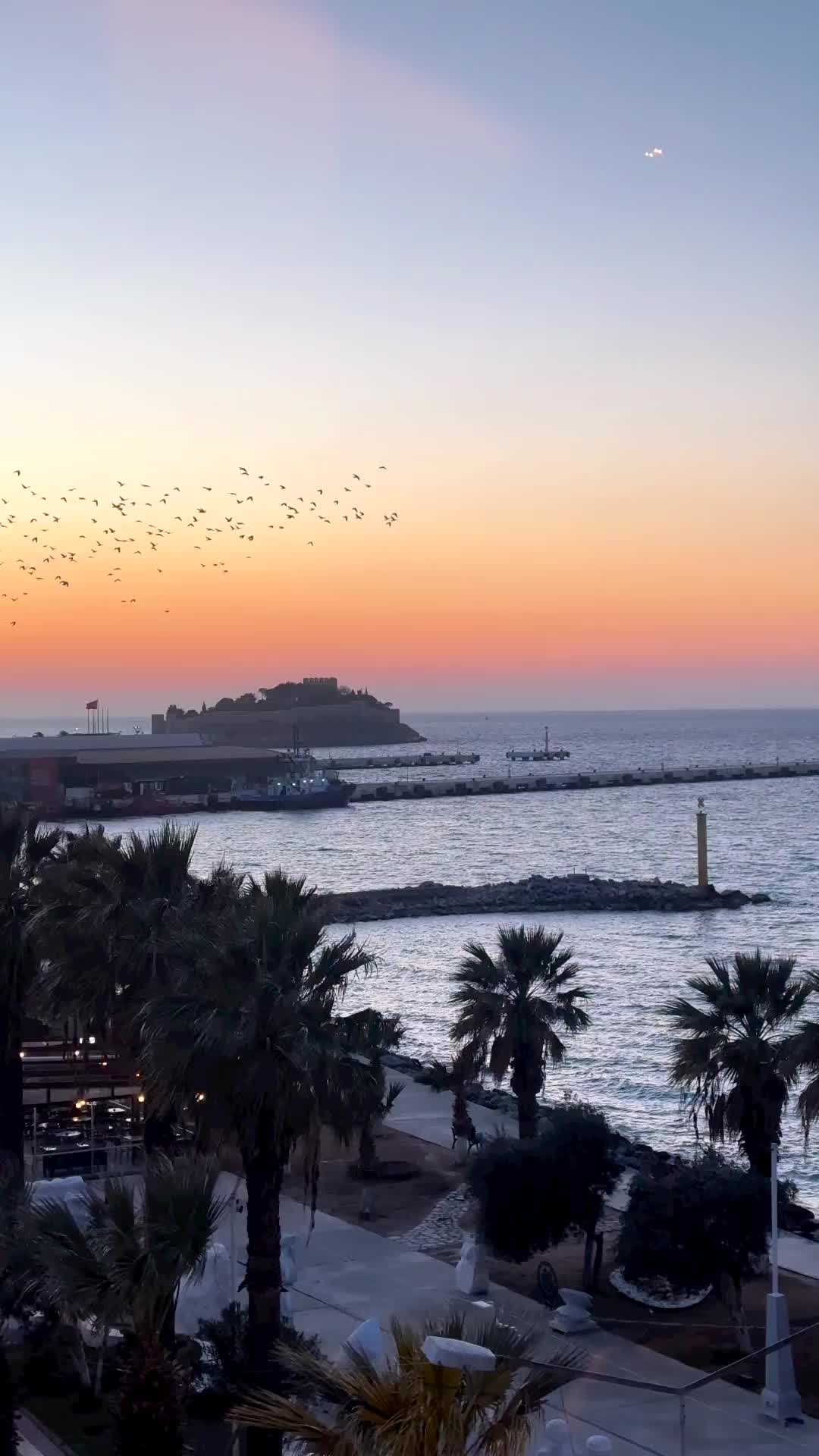@AtEş S&Uuml;RMELİ
