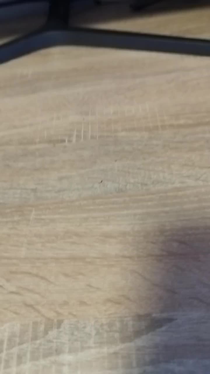 @contentkarl