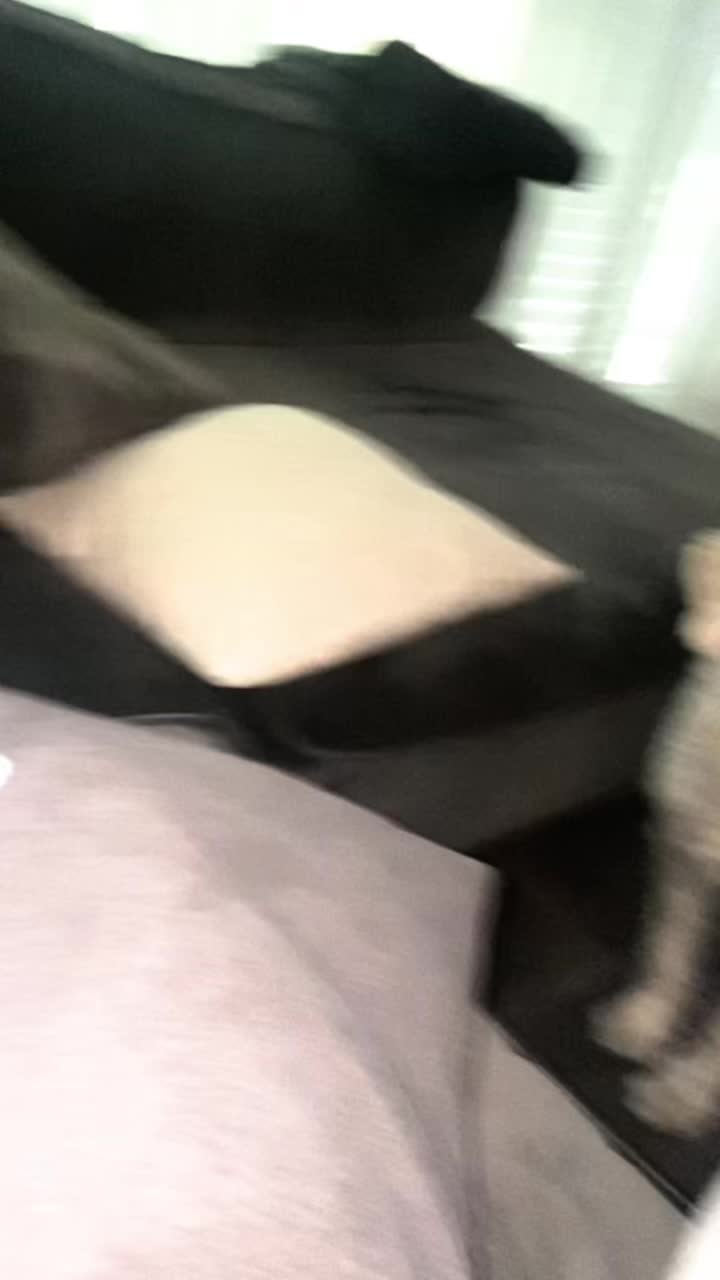 @jolie_zlr