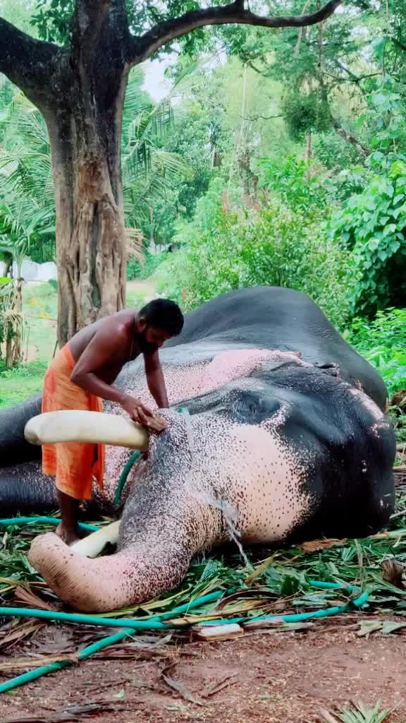 @Manoj Puthupally