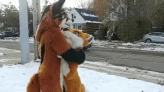 @CookieShiba