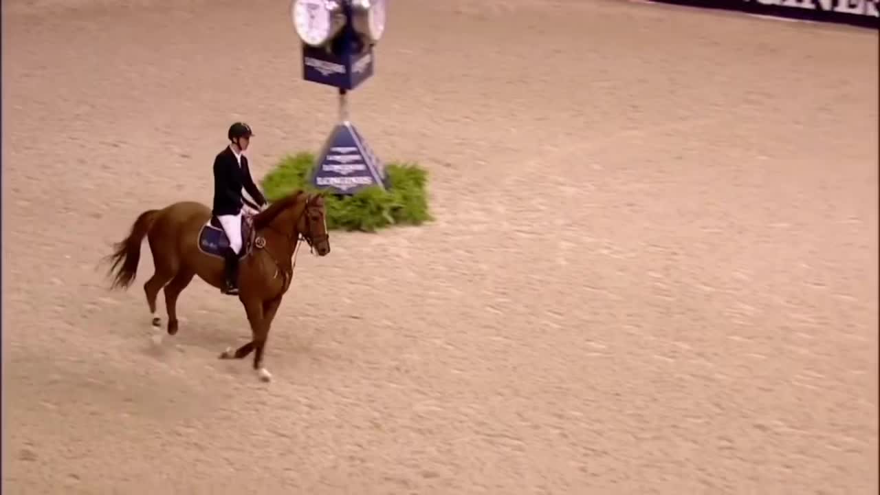@Horses