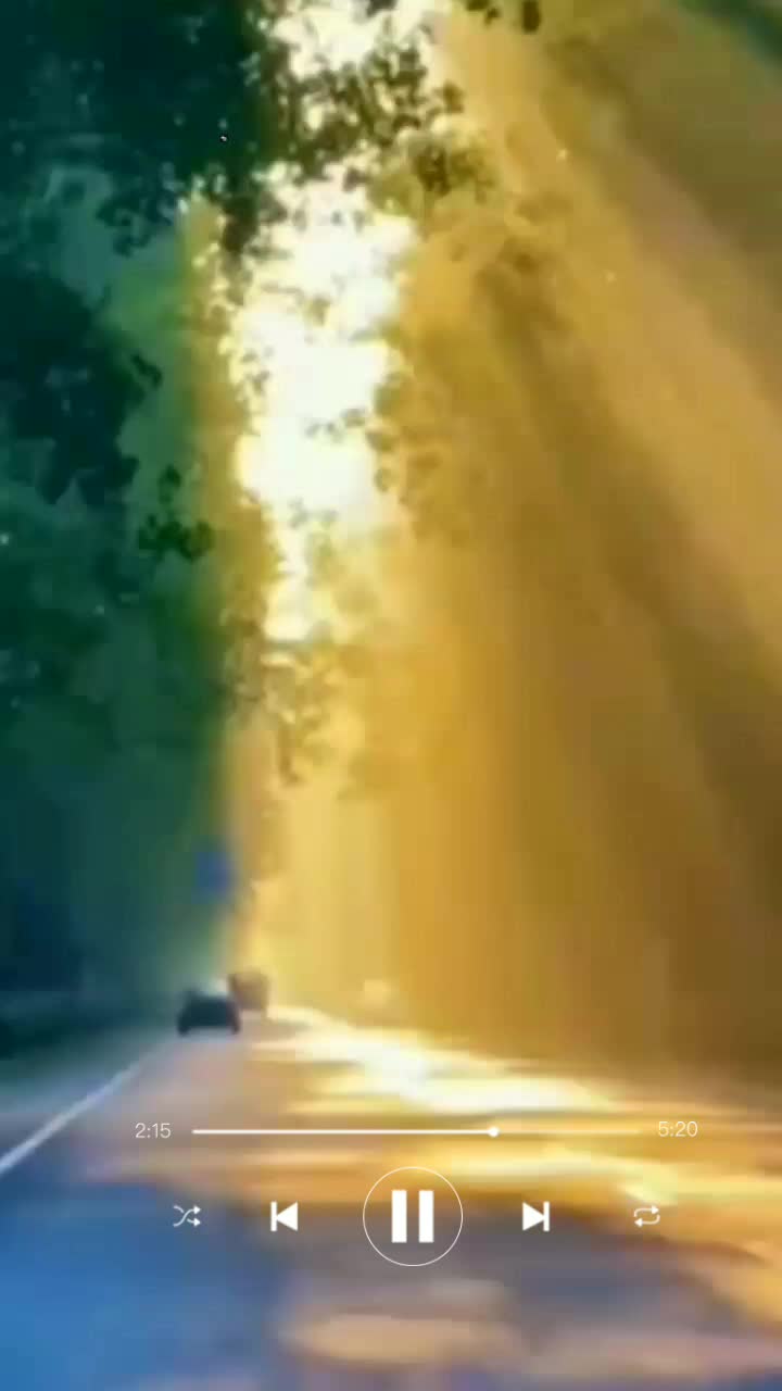 @s_________h(lyrics)
