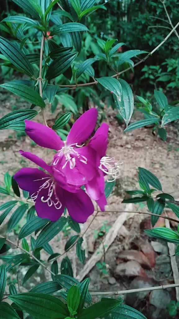 @Vishnu nair