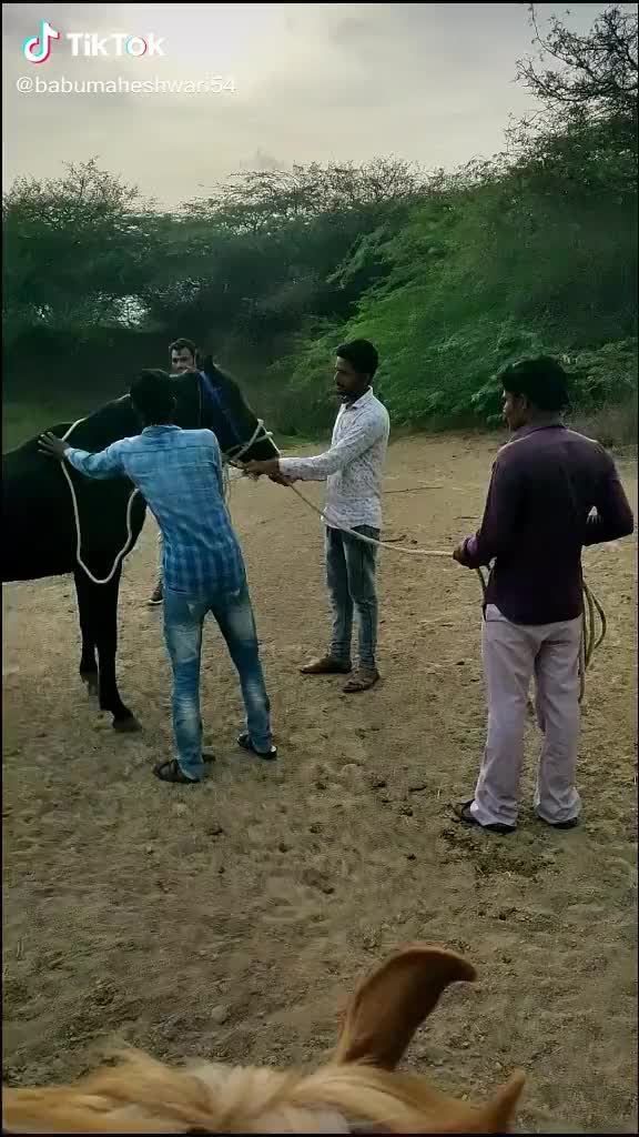 @s.h.sumra786