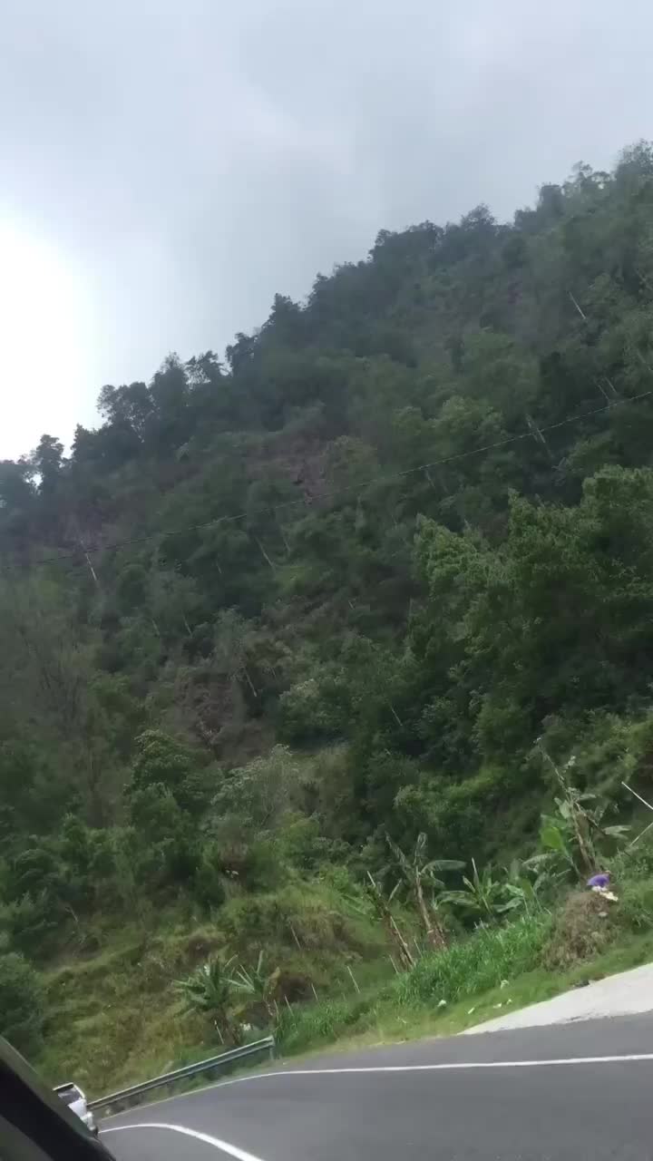 @sibontottt
