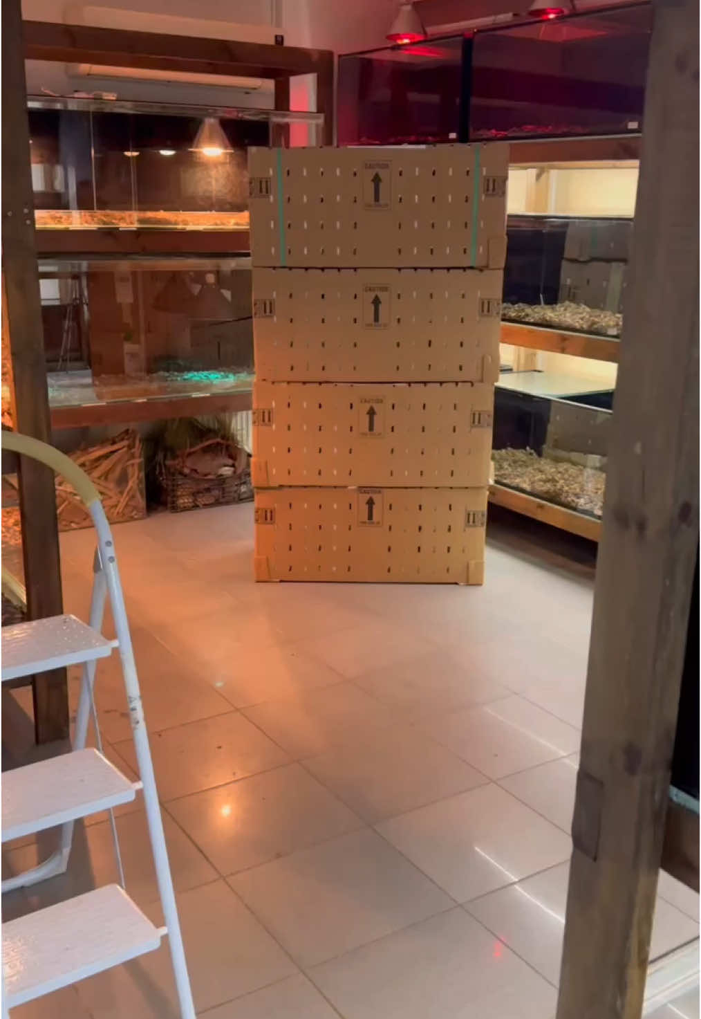 @KANMAZ PETSHOP