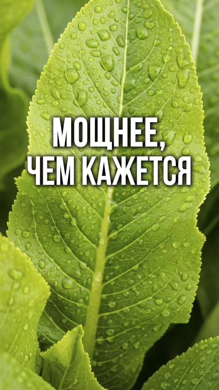 @ЗОЖнавигатор