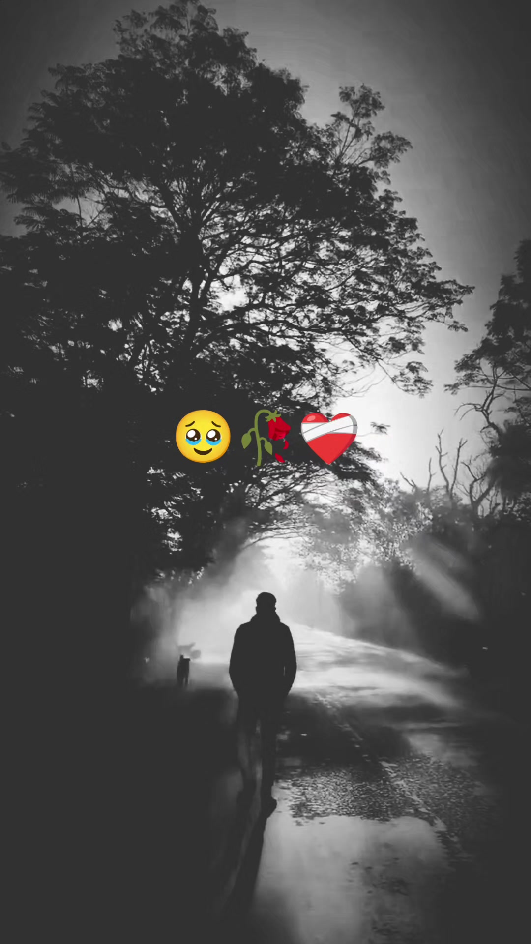 @رشو رشي❤️🩹🥀😔