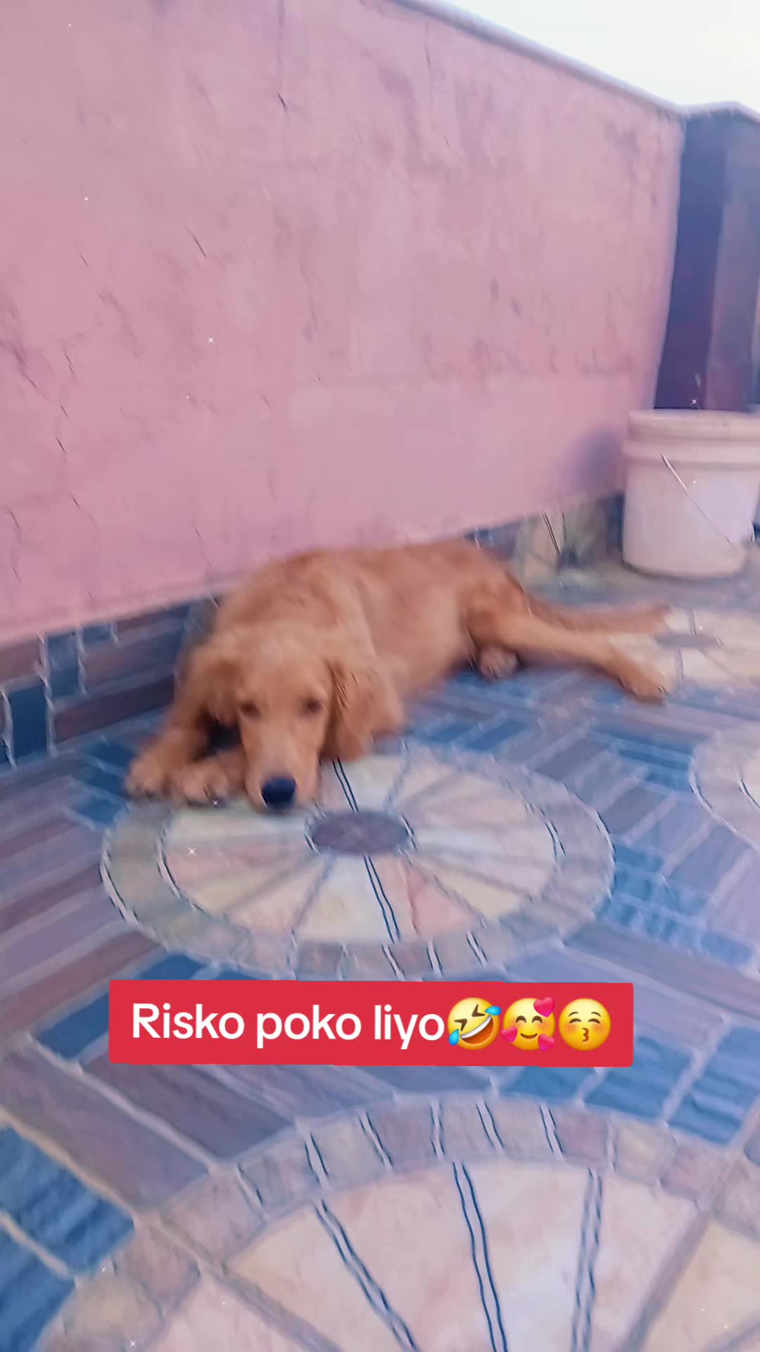 @s🕊🥲🇳🇵
