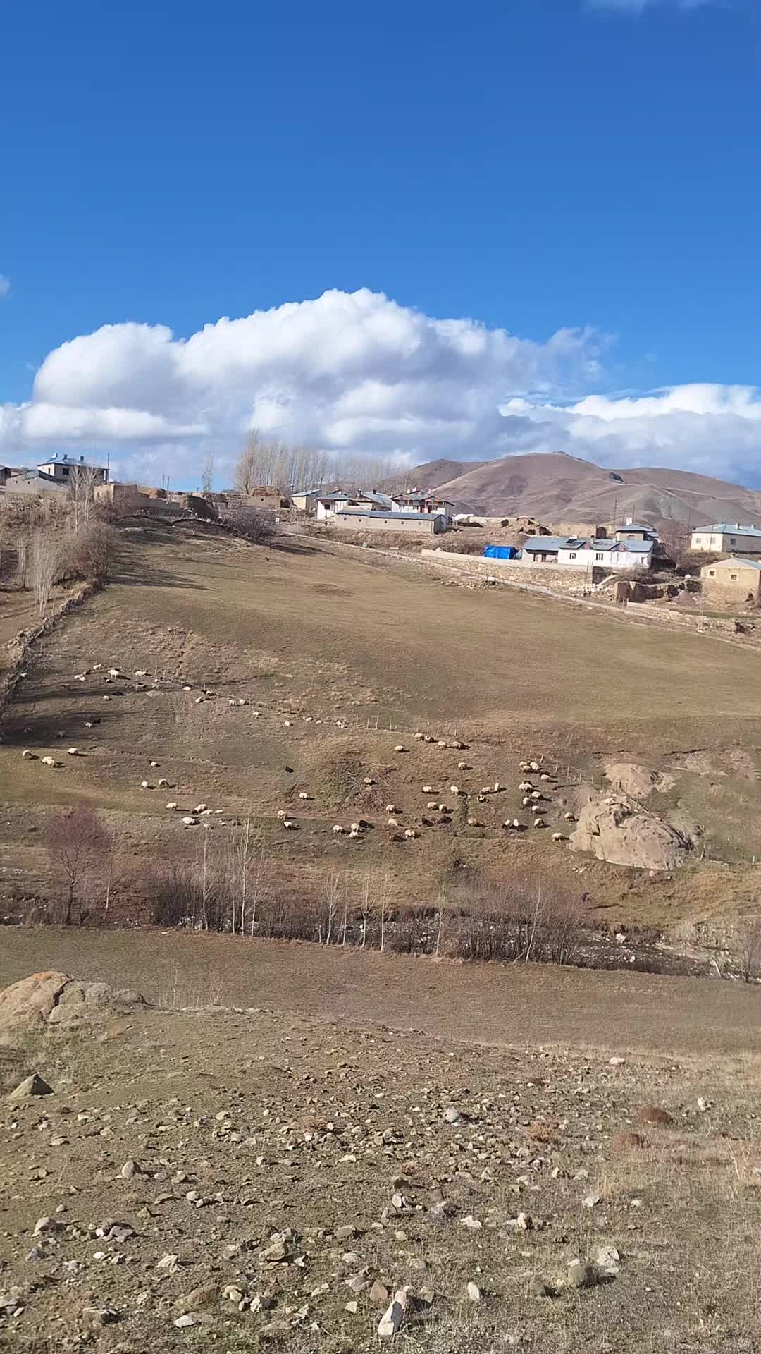 @emincanbaz0765