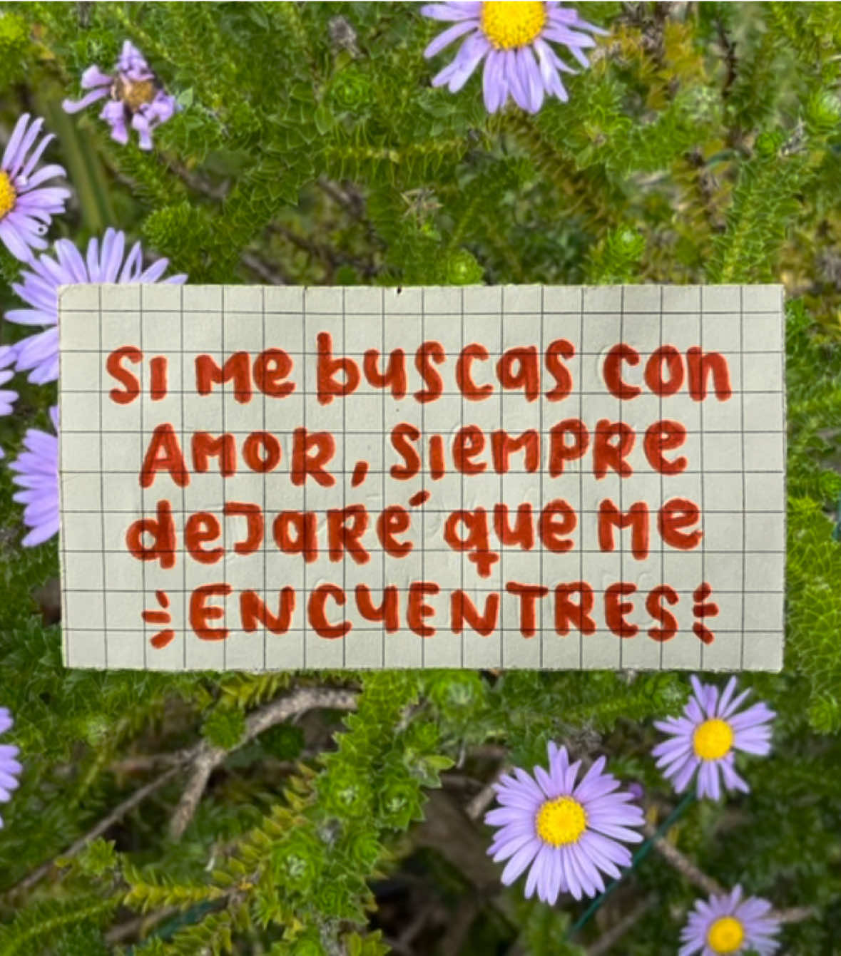 @luisahuicha